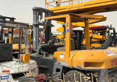 1350x1800_0D1F2B47-B1B3-4918-B4F3-5EF9E6FACB3A.jpg-700_watermarked