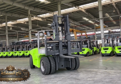 Zoomlion-FD100-plant