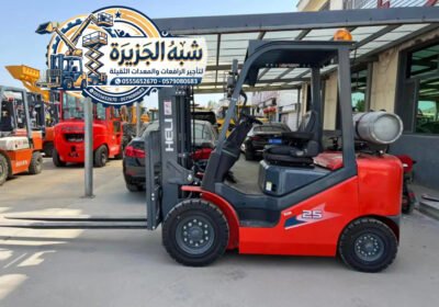 سيزرلفت_012